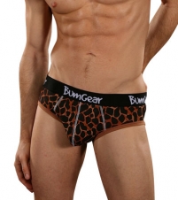 Safari Giraffe Brief